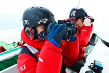 우리바다 동해(東海)에는 어떤 고래들이 살고 있을까?