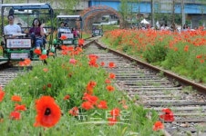 여름휴가, 산·강·바다 다 있는 하동이 좋아요~