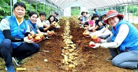 경기도 광주시공무원노동조합, 농촌일손돕기 봉사활동 전개