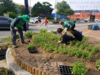 의정부시 장암동주민센터, 장암역 환경정비 실시