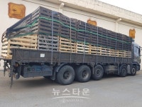 신안군, 해풍맞은 신안 단호박 일본 수출길 올라