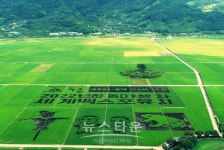 하동 악양 평사리 황금들판 들녘아트 눈길