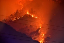인제군, 산불피해지역 산림 복구방안 본격화