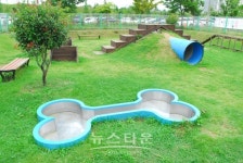 진주지역 반려동물 6800마리…애견공원 조성 제기