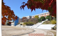 화순 전남기술과학고 보건간호학과 신설