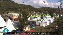 횡성 한우축제 이번 주말 절정... 추억을 소환하는 고향의 정취와 먹거리