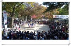 남이섬에서 만나는 하동 단풍섬 물들인다