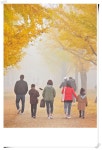 여주 강천섬에 가을풍경 사람이 만원이다