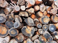 원주시, 사랑의 땔감 나누어주기 행사