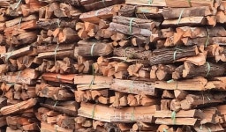 인제군, 사랑의 땔감 나누어주기