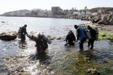 FIRA 동해본부, 바다환경 개선에 총력