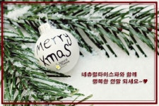 강남 네츄럴타이스파, 크리스마스 연말연시 커플 실내 데이트코스