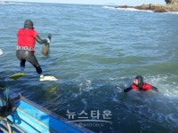 부안군, 수출 산업 육성 수산자원 회복‧증강 해삼 종자 방류 확대