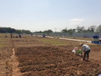 수원시농업기술센터, 시민농장 텃밭체험 참여자 공개 모집