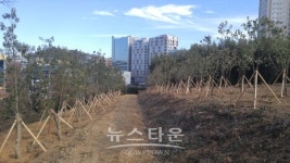 진주시, 혁신도시 도시공원 원형지에 녹색 공원 숲 조성