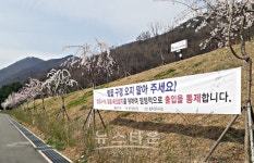 충주시, 코로나19 확산 방지를 위해 충주댐 벚꽃길 통제