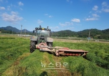 남원시 조사료 생산기반 확충 35억 집중 투자