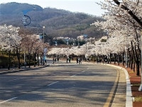 이천시, 설봉공원 차량 진출입 전면 통제··· 산책만 가능