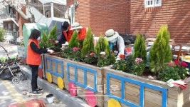 의정부시 자금동, 관내 6개소에 봄꽃식재