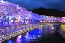 한국관광공사, 야간관광 100선에 충주 중앙탑·탄금호와 수안보족욕길 2곳 선정