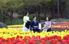 의정부시, 직동근린공원 튤립가든 조성