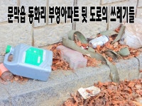 원주시 문막읍 한 아파트뒷편도로 쓰레기 천지