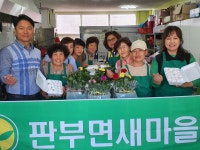 원주시 판부면 새마을부녀회, 감자떡 봉사 및 반려화분 나눔