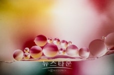 강향옥 사진작가의 5월의 왈츠