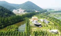 담양군 메타세쿼이아랜드 입장료 정당 대법원 판결로 논란 종지부