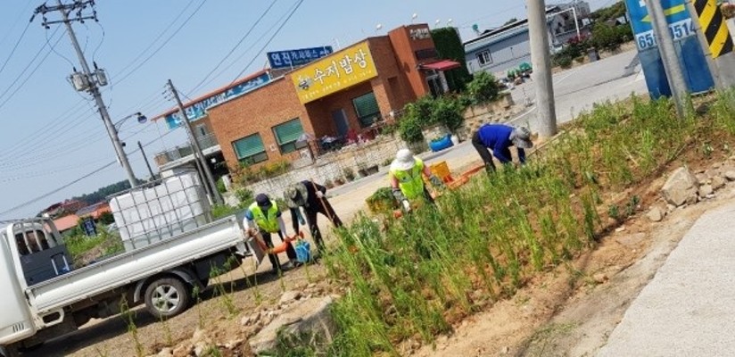 안성시 공도읍, 쓰레기 상습투기지역 화단 조성 | 포토뉴스