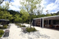 의정부시, 걷고 싶은 명품 나무숲길 조성사업 본격 추진