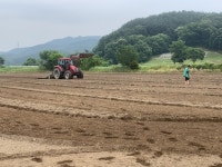 부론면 자생단체와 함께한 법천사지 코스모스 꽃씨 파종