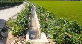 정읍시, 영농환경 개선 농촌 용수개발사업 등 국비 385원 확보