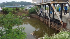 화성시, 세제 원료 무단 방류 사업장 적발