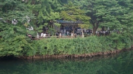복싱 전 동양챔피언 황복수, 공주 송곡지 엔학고레 가든 운영 대성공 소문 솔솔