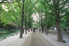 추억 소환 산따라 물따라 춘천가는 길