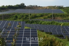 산림청 산지특별점검단, 산지 태양광발전시설 긴급 현장점검