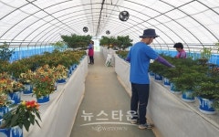 청양군농업기술센터, 세계고추 전시관 운영