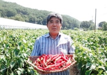 청양군, 청양고추왕에 유정조씨...청양구기자왕에 오용재씨 선정