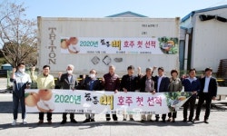 달달하고 아삭한 하동배 올해 첫 수출