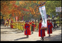 하동 매력에 빠진 남이섬, 단풍과 함께 물들다