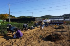 안산시 코로나19 극복 안산형 지역일자리사업 참여자 모집