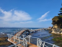 포항시, 2020 호미반도 해안둘레길 랜선 걷기축제