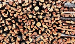 원주시, 사랑의 땔감 나누어주기 행사