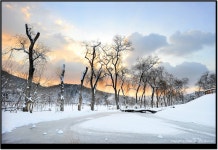 남이섬 호텔정관루, 공중위생서비스평가 최우수업소 선정