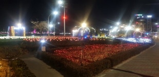 포항 영일대 LED장미원, 겨울바다를 따뜻하게 물들이는 오색불빛 밝혀