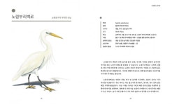 남동구, 제25회 소래포구 축제 기념 소래생태 스토리북 발간