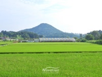 스마트 기록관리 선도…횡성 한우농가, 전국 무대서 최우수상