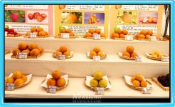 농업인의 날 30주년, 원주서 첫 국가기념식 개최