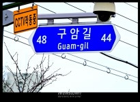 원주 문막 42번 국도변 간 큰 업소 고발 사진